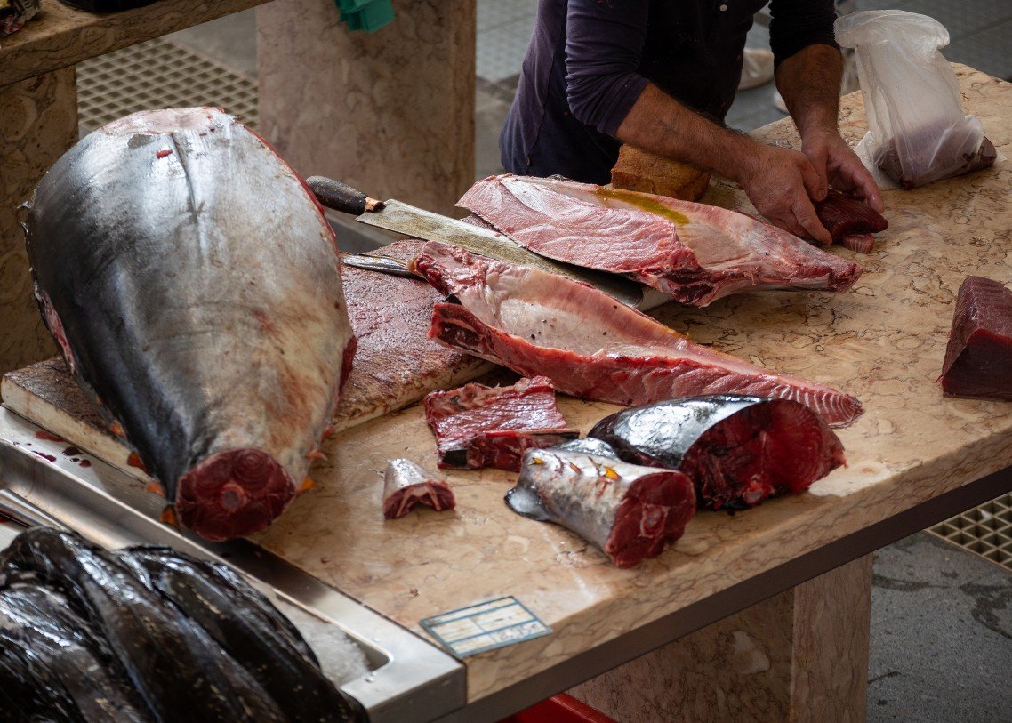 PT. UDAYA CAKRA INDOTAMA - TUNA14