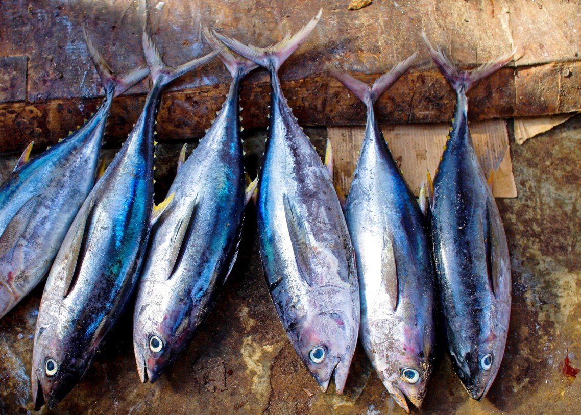 Udaya Cakra Indotama